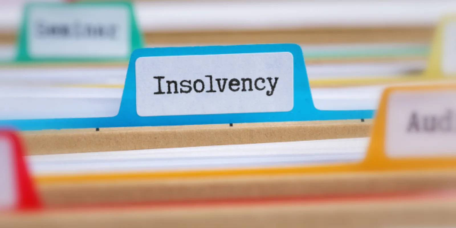 Insolvency file