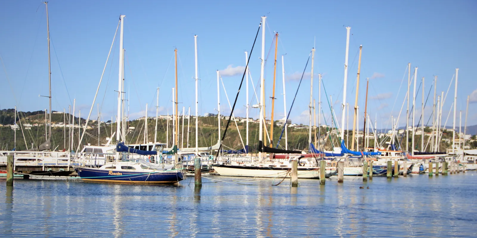 harbour with boats