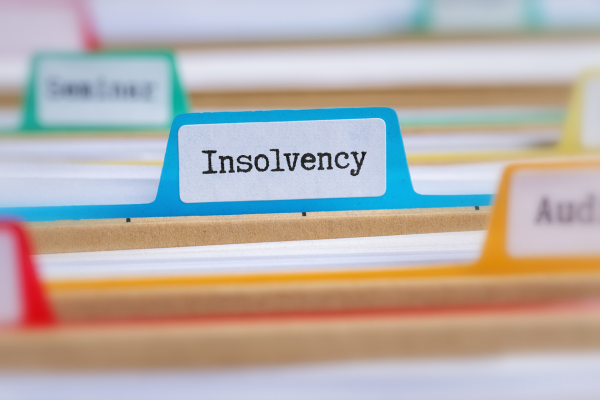 Insolvency file