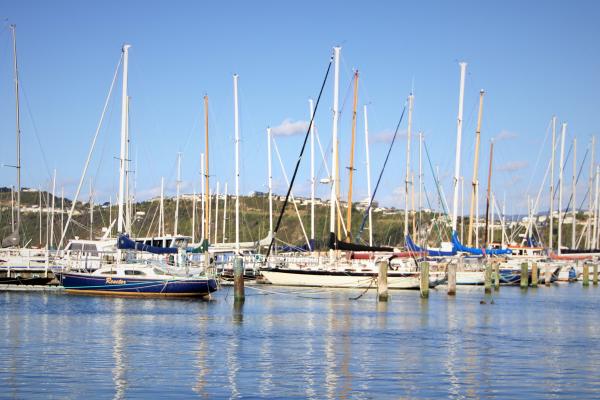 harbour with boats